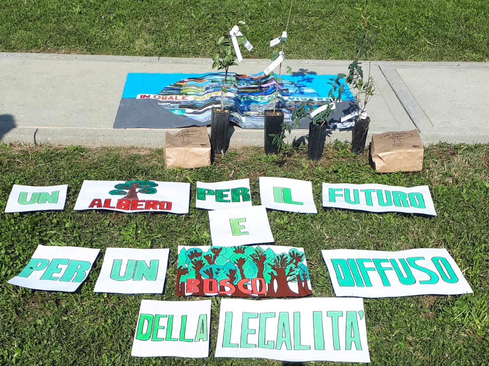 ALUNNI, DOCENTI,  COLLABORATORI SCOLASTICI, PRESIDE E RAPPRESENTANTI DELLE ISTITUZIONI PIANTANO ALBERI PER IL FUTURO NEL GIARDINO DELLE SCUOLE DI PEDRENGO