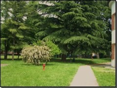 Giardino della scuola primaria di Pedrengo